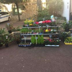 Symphonie Des Fleurs