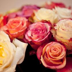 Symphonie Fleurs