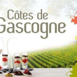 Syndicat Des Vins Côtes De Gascogne