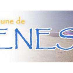 Syndicat Initiative