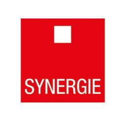 Synergie Interim