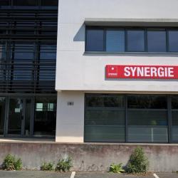 Synergie