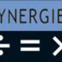 Synergies Maintenance Informatique