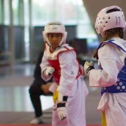 Taekwondo Mudo Club