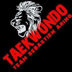 Taekwondo Narbonne