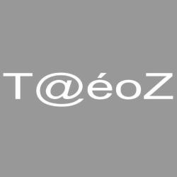 Taeoz Informatique