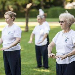 Tai Chi Clermont