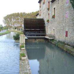 Taillades