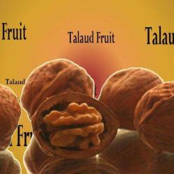 Talaudfruit