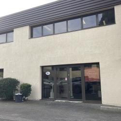 Talent Solutions  (tingari) - Balma
