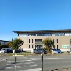 Talent Solutions  (tingari) - Bayonne