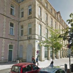 Talent Solutions  (tingari) - Bordeaux