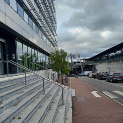Talent Solutions  (tingari) - Ermont