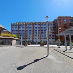 Talent Solutions  (tingari) - Toulouse