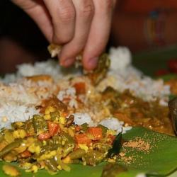 Tandoori Curry