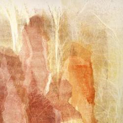 Tanguy Bodin-hullin