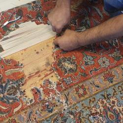 Tapis Boeuf