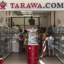 Tarawa Piercing Tatouage Vias
