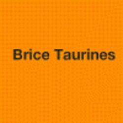 Taurines Brice