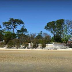Taussat Immobilier