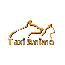 Taxi Animo