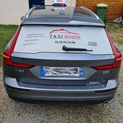Taxi Boris