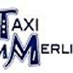 Taxi M. Merlin
