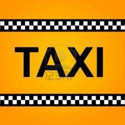 Taxi Stéphane Lezenes