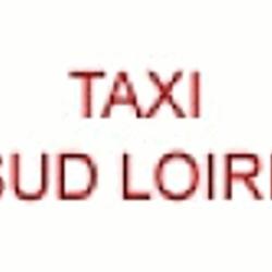 Taxi Sud Loire