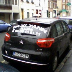 Taxi Illies