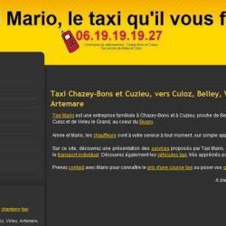Taxi Mario