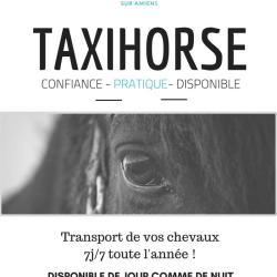Taxihorse