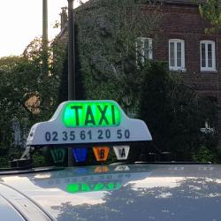Les Taxis Blancs De Rouen