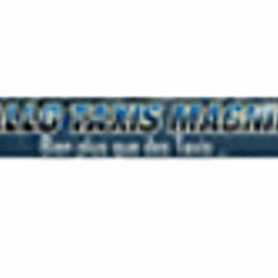 Taxis Bv Magnier