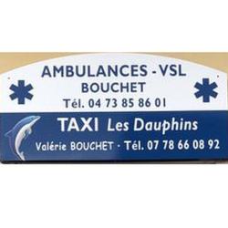 Taxis Les Dauphins Valérie Bouchet