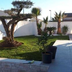 Tce Paysage