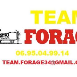 Team Forages