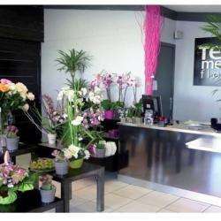 Ted Mery Flore