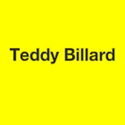 Teddy Billard
