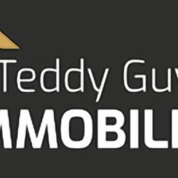 Teddy Guyon Immobilier