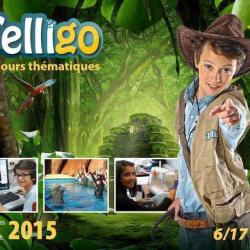 Telligo