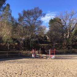 Yearling Club