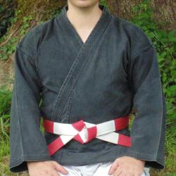 Tenchi Chushin Ryu