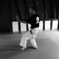 Tenchi Chushin Ryu