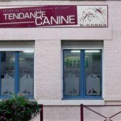 Tendance Canine