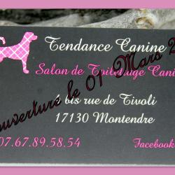 Tendance Canine