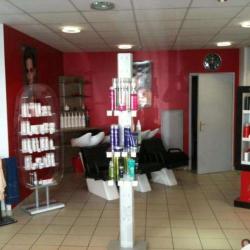 Tendance Coiffure