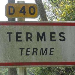 Termes