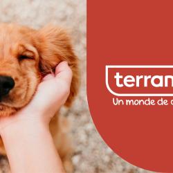 Terranimo Sarrola-carcopino