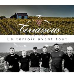 Terrassous